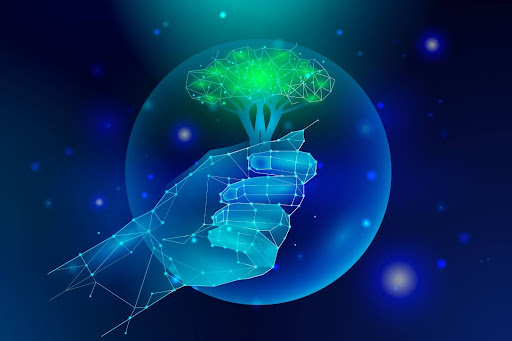 Environmental Cost Of AI