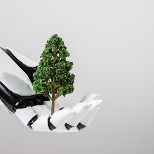 Is AI Always Bad For The Environment