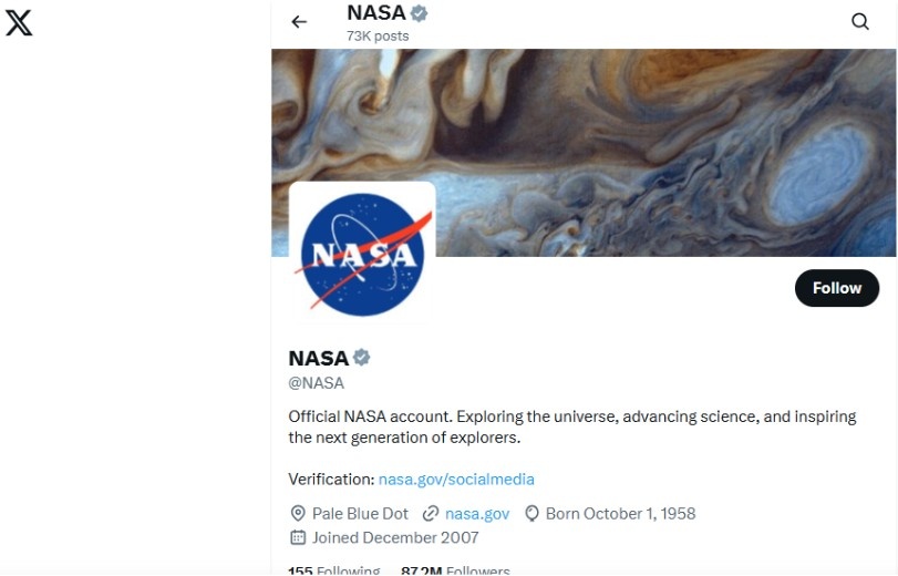 Can Google Help You View Tweets Without Logging In?