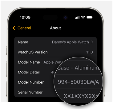 Checking Your Apple Watch’s Settings Directly