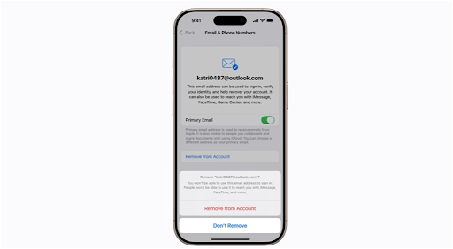 Remove The Old Email