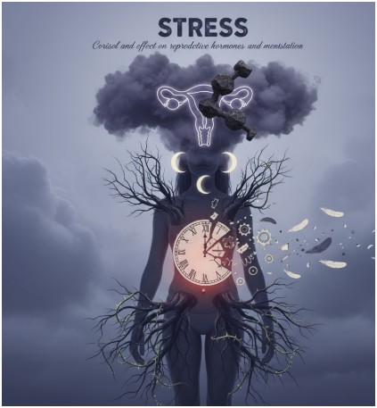 Common Causes of Irregular Periods