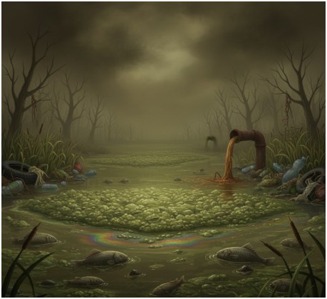 Growing Threats to Wetland Survival